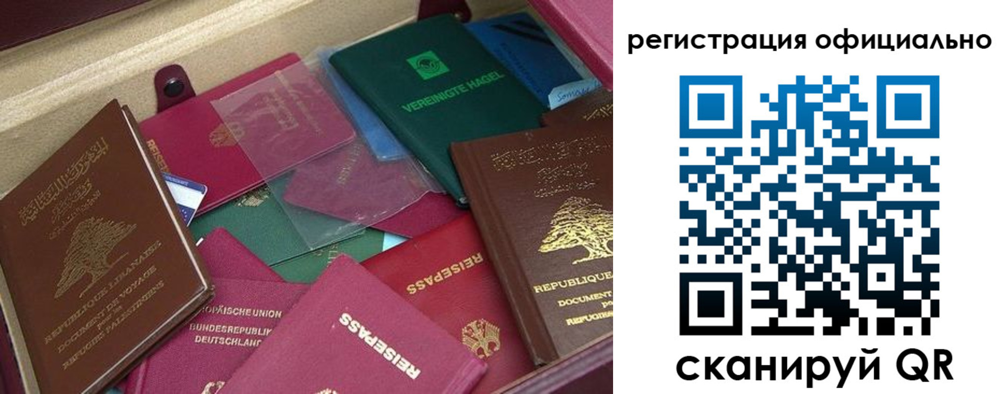 прописка для школы в Реутове